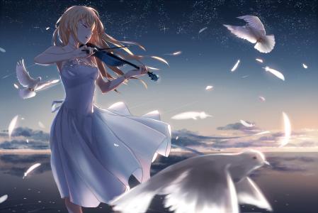 小提琴在鸽子，动漫中的女孩