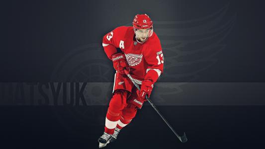 来自底特律Pavel Datsyuk的最佳冰球选手