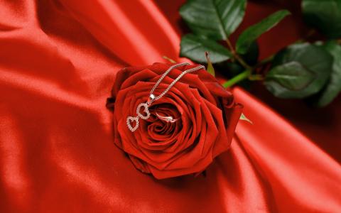 红玫瑰与心中的银吊坠