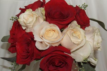 3月8日的红玫瑰与白玫瑰