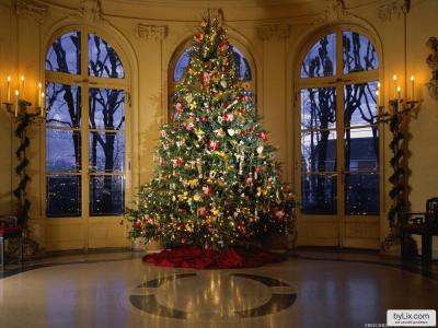 圣诞树在克里姆林宫2014年