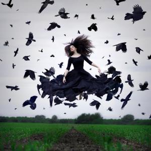一件黑裙子的女孩在乌鸦中徘徊