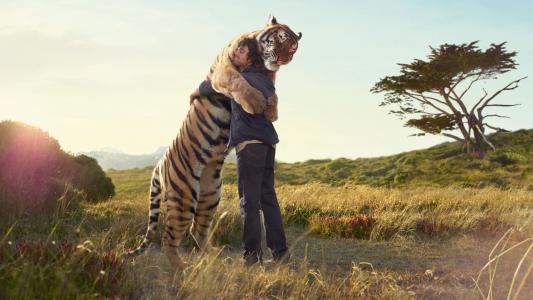 与老虎拥抱的人