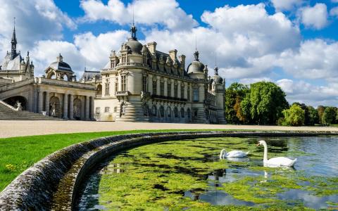 天鹅在法国城堡附近的池塘里