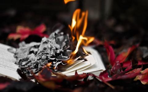 这本书在秋天的树叶里燃烧着