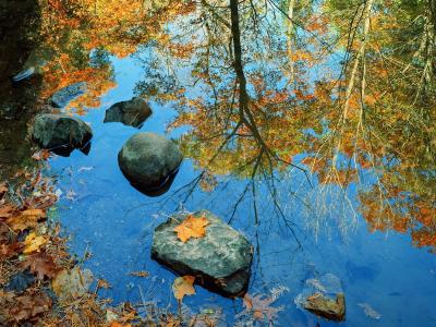 秋天反映在水中