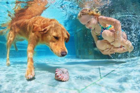 一个小女孩在一个大红狗的游泳池里游泳