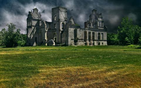 乌鸦圈在苏格兰的一座城堡的废墟上