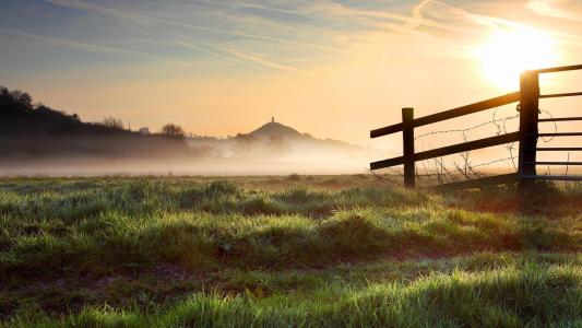 太阳把农田上的晨雾消散了
