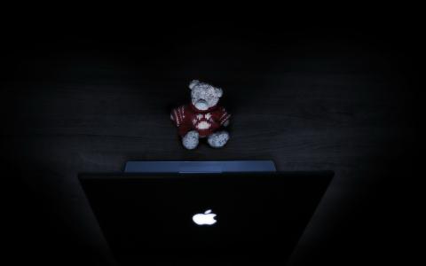 玩具熊和笔记本电脑