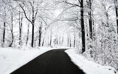 在白雪覆盖的森林里的路
