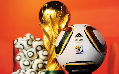 南非2010年世界杯足球赛