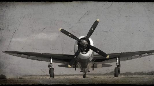 飞机P-47