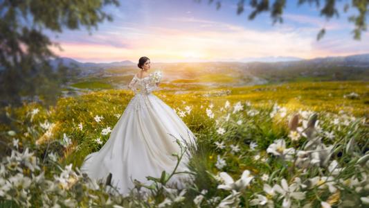 美丽的新娘女孩在白色连衣裙领域与白色的花