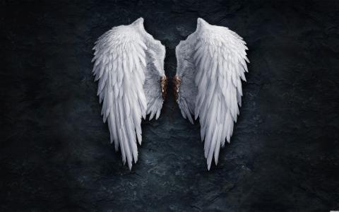 天使的翅膀在黑色背景上