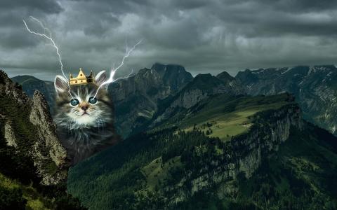 猫在山中的皇冠