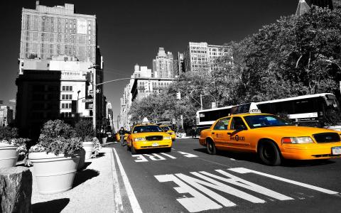 纽约出租车
