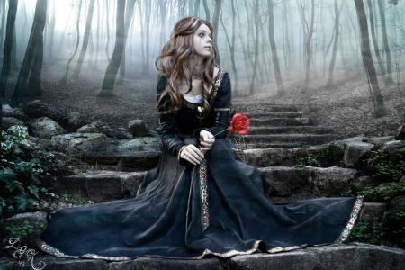 一个穿着黑裙子的女孩和她手中的一朵玫瑰坐在石楼梯上
