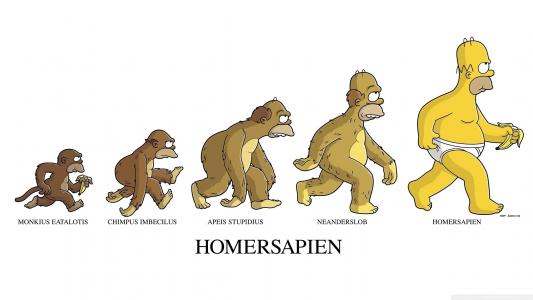 Homersapiens的演变，动画片
