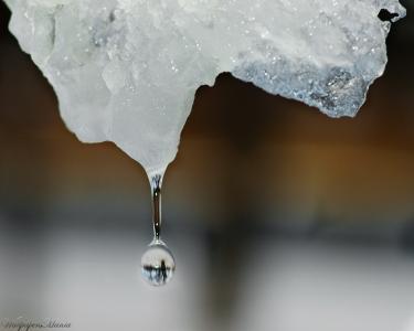一滴水从浮冰中落下