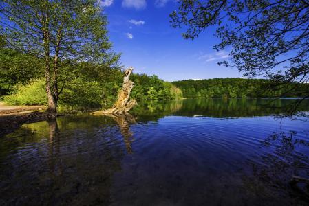 在湖边美丽的大自然在一个晴朗的日子