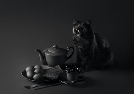 黑猫坐在桌子上，早餐