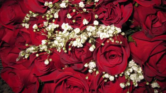 在3月8日装饰红玫瑰作为礼物给妇女