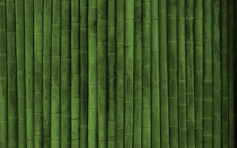 绿色竹子的背景