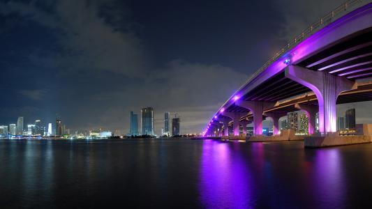 淡紫色桥梁在迈阿密