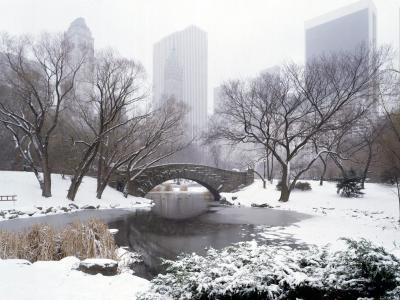 中央公园在冬天