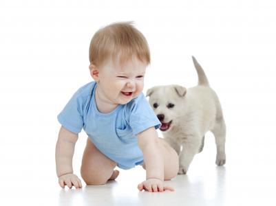 有一只小狗的小微笑的男孩在白色背景