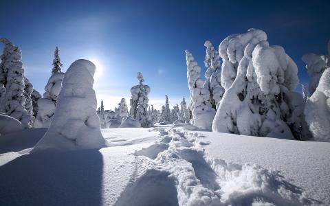 芬兰的冬天