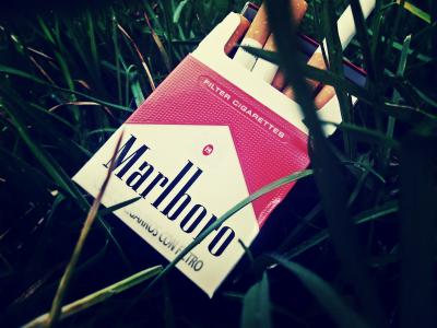 一包香烟在草地上