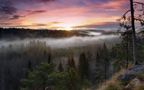 芬兰努克西奥国家公园
