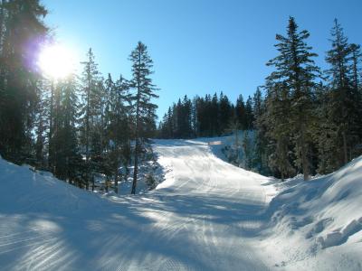 奥地利泽费尔德度假胜地的滑雪赛道