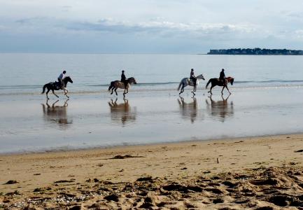 骑马在法国拉波勒的度假胜地