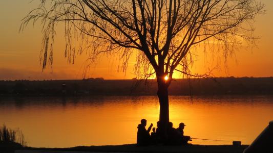 渔民在日落时休息在一棵树下