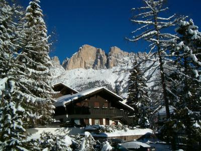 在意大利Val di Fassa滑雪胜地的松树之中的旅馆