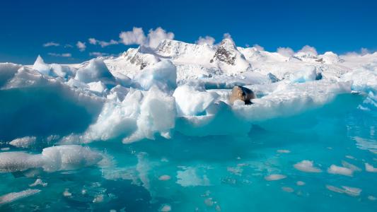 南极洲的水和冰