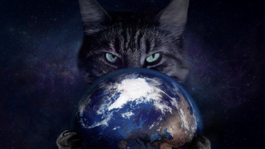 阴险的灰色猫与地球的行星在离合器
