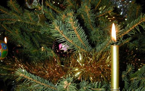 圣诞树和一支燃烧的蜡烛