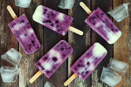 水果蓝莓冰淇淋与冰切片上的一根棍子