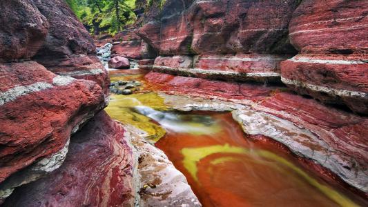 红色的岩石之间的水流