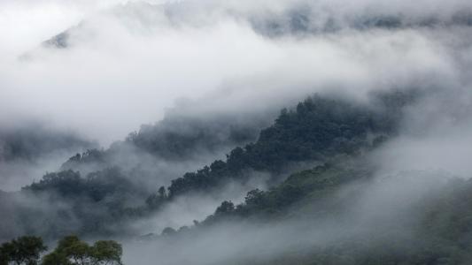 厄瓜多尔雾在山上