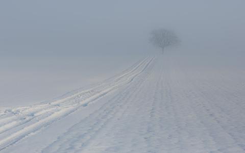 积雪覆盖的道路