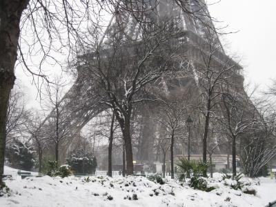 在巴黎的雪在艾菲尔铁塔附近的圣诞树