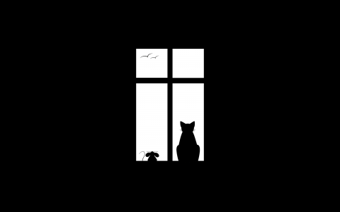 一只猫在窗口，黑色背景下的轮廓