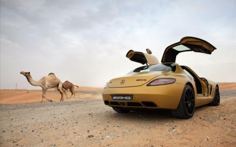 奔驰SLS AMG在沙漠中