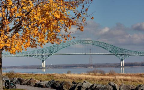 一座拱桥的背景上的秋天一棵树