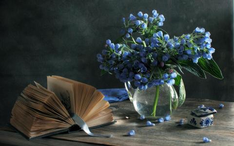 蓝色的花和书